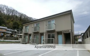 ステラ Kの画像