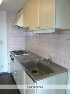 オーチャードヴィレッヂ【4階】のキッチン