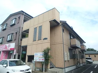 ONLY ONE しまのの画像