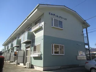 エルディム グリーンYの画像