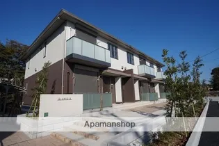 プルメリアの画像