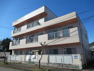 ローマンローズの画像