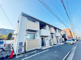 ココ プリンセスの画像