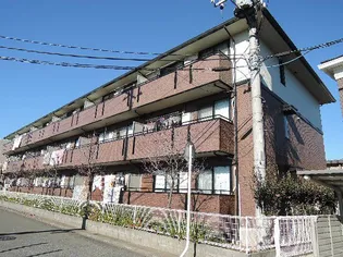 ベルディ大宮【3階】の外観