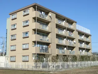 シャルマンの画像