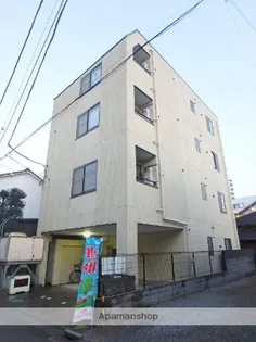 サンフラワーIIIの画像