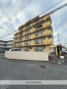 新田第5中島ハイツの画像