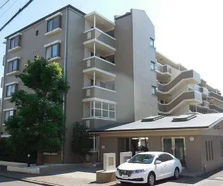 スターコート北浦和の画像