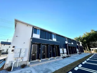 GREEN SORREL Iの画像