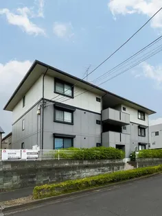 ハイカムール駒形の画像