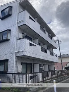 シャロンローズの画像