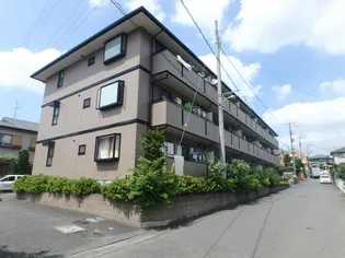 トマトノワの画像