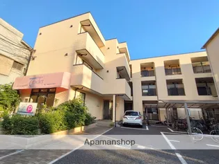 ピエ デ トロンシェの画像