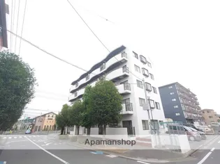 パレマロンの画像