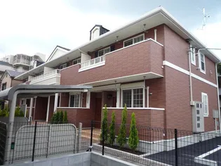 サザンクロスの画像