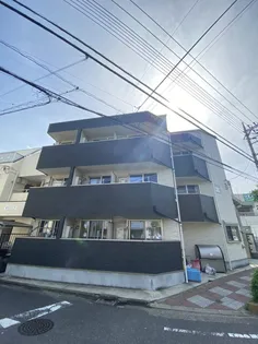 アカテリア蕨の画像
