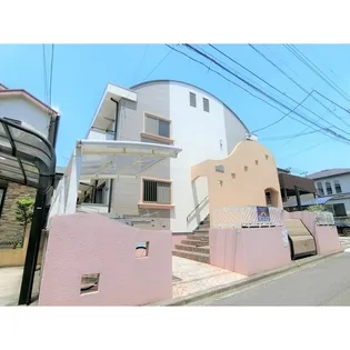 FLATオリーブの画像