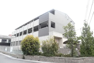 ラディーチェの画像