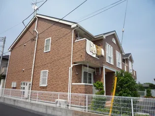 フリージアの画像