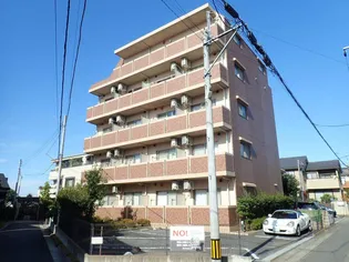 BRIGHT HILLSの画像