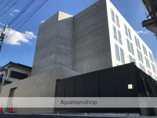 ゼルコヴァの画像