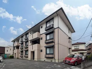 ロイヤルシャトー金子【2階】の外観