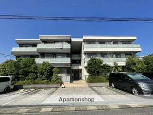 COSA CARINOの画像