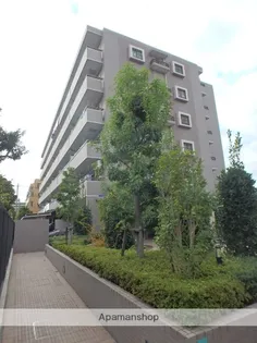 エバーグリーンコートの画像