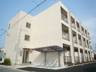 アンプルール フェール YAHAGIIIの画像