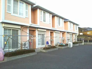 ベルトゥリーサカエの画像