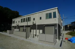 ペンタスの画像