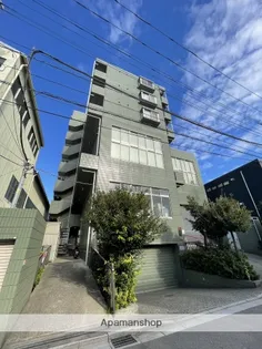 オリーブの画像