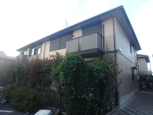 エミールの画像