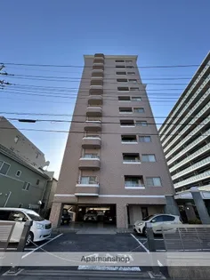 ボナールTの画像