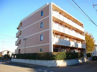 ブリアンコリーヌの画像