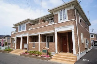 エヴァーグリーンAの画像