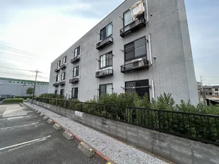 アンプルールフェールアミーIの画像