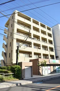 アルカータ壽の画像