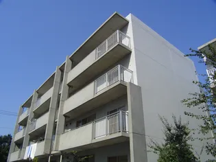 セレーノ大宮A棟【2階】の外観