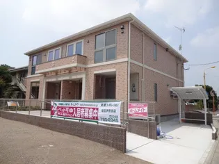 ツリービューオレンジの画像