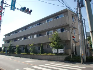 ラヴィーヌの画像