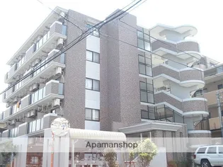 ピーノパラッツォ16の画像