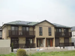 ハナミズキの画像