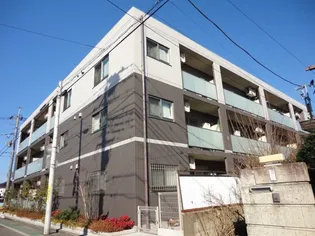 ルミナス高鼻の画像