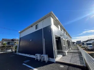 パルムロジェの画像