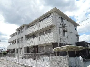 ソレイユ ドミュールの画像