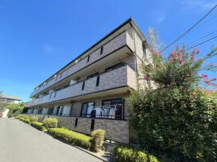 ヴィヴィレ フルールの画像