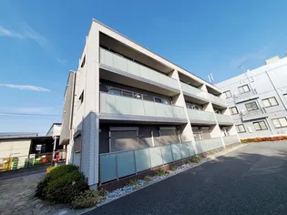 ラディーチェBの画像