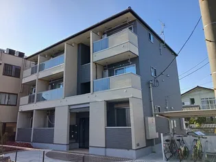 プラシードの画像