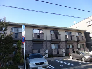 シャインローズの画像